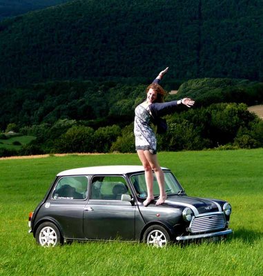 mini (8).jpg