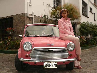 mini (11).jpg