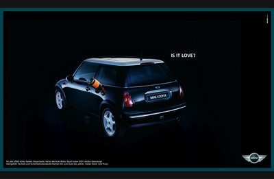 mini (10).jpg