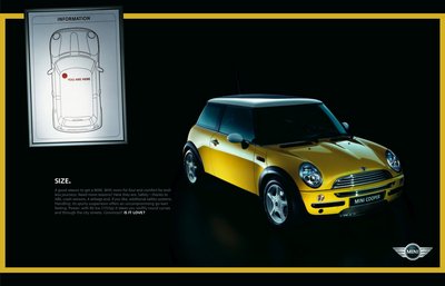 mini (13).jpg