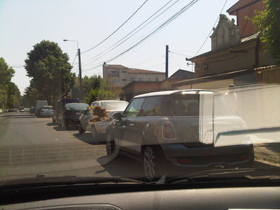 IMG00226-20100609-1530.jpg