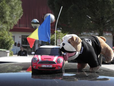 Bolid Cristi si catelu.JPG