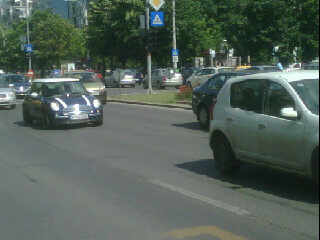 IMG00394-20100604-1618.jpg