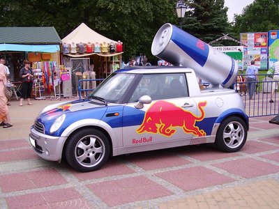 MINI_R~1.JPG