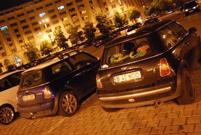 DSC_3590.jpg