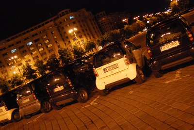 DSC_3587.jpg