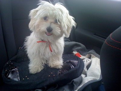 alfy si rosky_08.06. 012.jpg