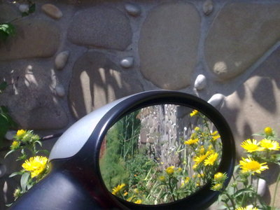 290620101223.jpg