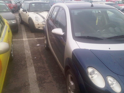 IMG00314-20100709-1932.jpg