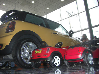 mini.jpg