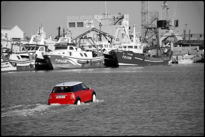 mini (9).jpg