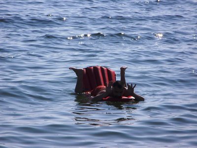 lost-naufragiatii 2.jpg
