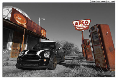 mini (5).jpg