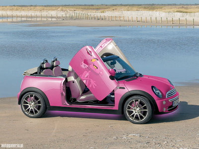 minicoopercabriopuertapantera5.jpg