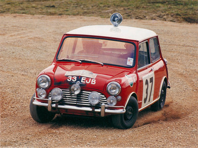 mini_n_raliuri_small_800x595.jpg