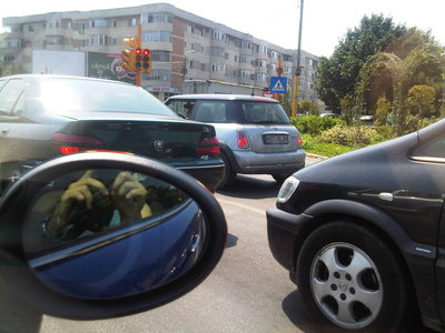 IMG00356-20100731-1432.jpg