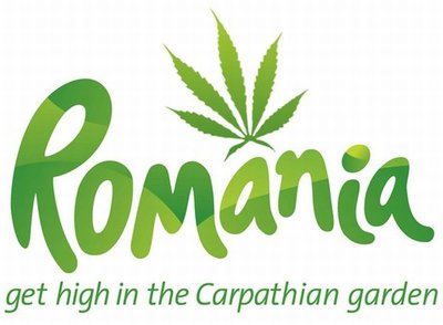 128052533733092857330_logo-.jpg