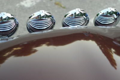 D20_7184.JPG