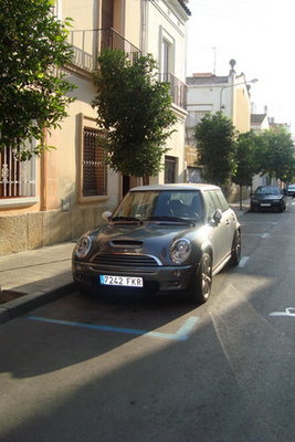 DSC03352.jpg