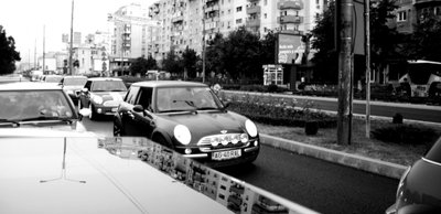 IMG_7318.JPG