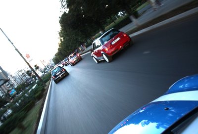 IMG_7981.JPG