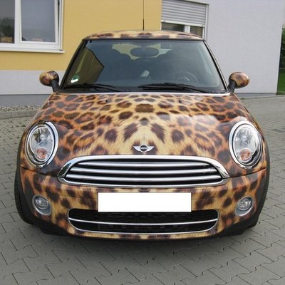 LeopardMINI_vorne_full.jpg