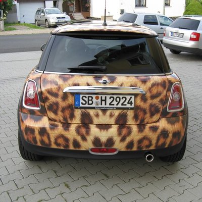 LeopardMINI_hinten_full.jpg
