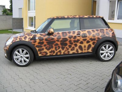 LeopardMINI_links_full.jpg