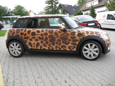 LeopardMINI_rechts_full.jpg