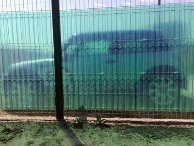 19082010300.jpg