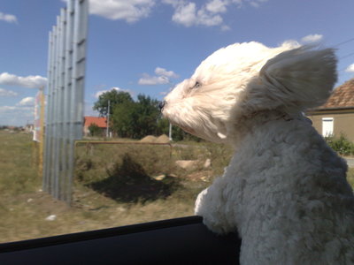 260720091318.jpg