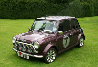 mini (1).jpg