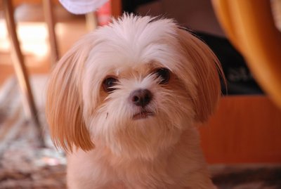 DSC_0041.JPG