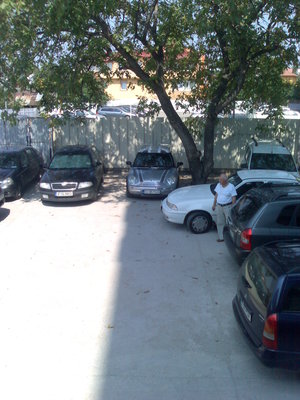 03082010632.jpg