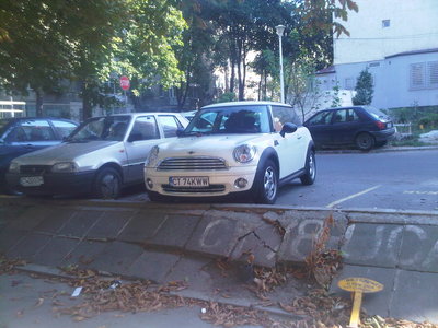 IMG00453-20100923-1434.jpg