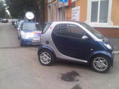 IMG00461-20101008-1641.jpg