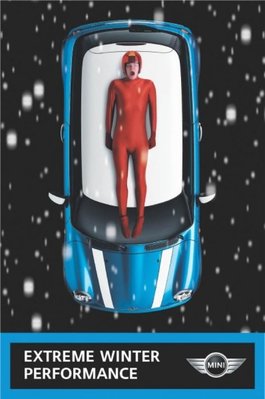 mini-luge-small-31596.jpg