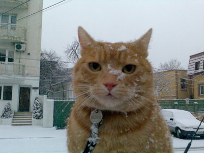 Imag024.jpg