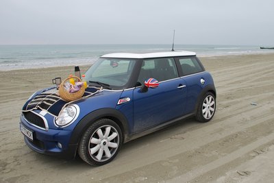 DSC_0006a.jpg