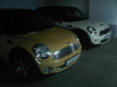 IMG00526-20101210-1934.jpg