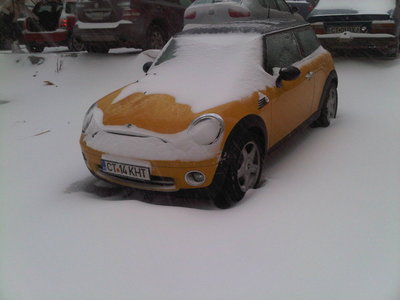 IMG00554-20101217-0919.jpg