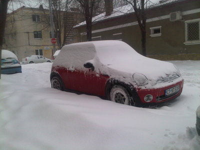 IMG00555-20101217-1253.jpg