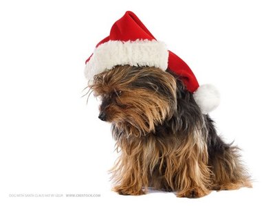 11.santa_claus_wallpaper.jpg