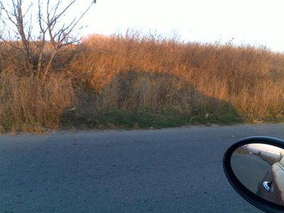 01112010293.jpg