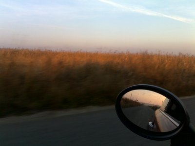 01112010294.jpg