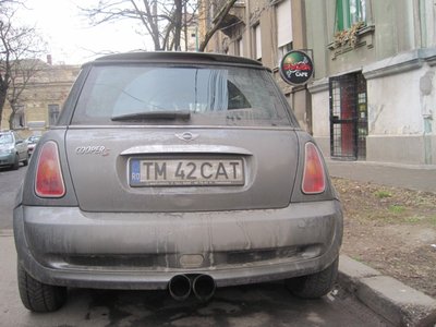 IMG_1735.jpg