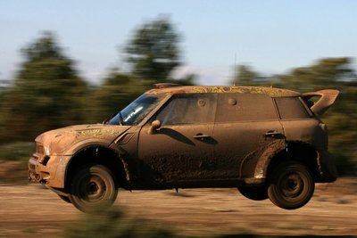 MINI (1).jpg