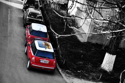 DSC_03842.jpg
