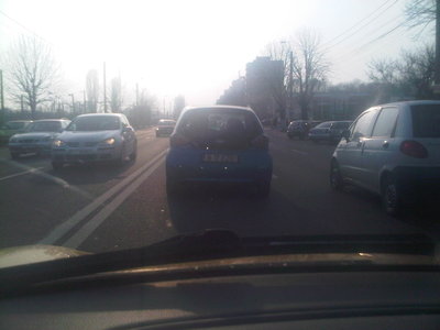 IMG00145-20110328-1754.jpg