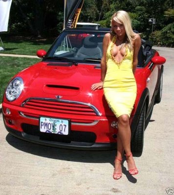 1239303557_playboy-mini-cooper003[1].jpg